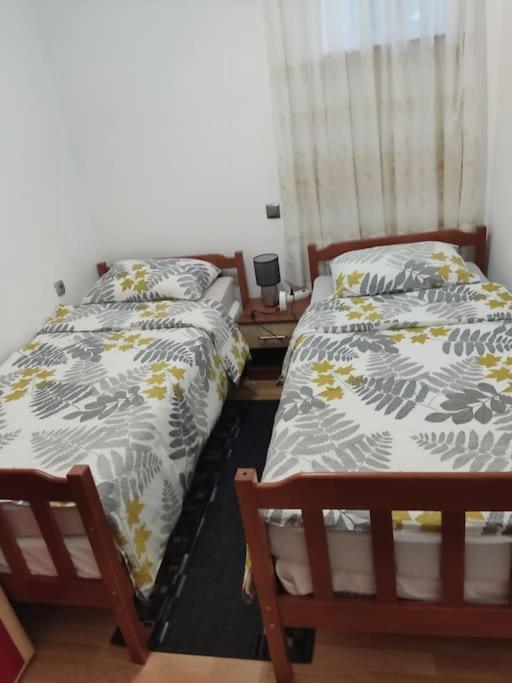 Apartman David-Drazice 外观 照片