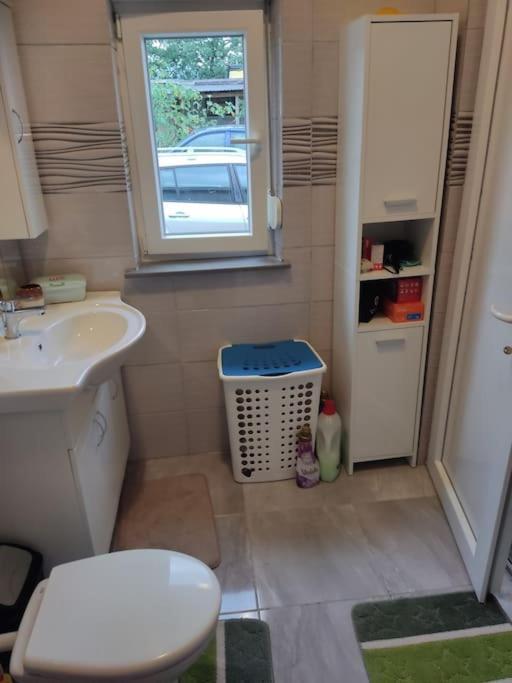 Apartman David-Drazice 外观 照片